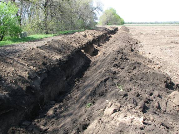 Бесхозяйственное использование земель в СТ "Ромашка" приостановлено