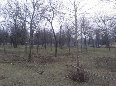Городская власть уничтожает центральный парк Никополя