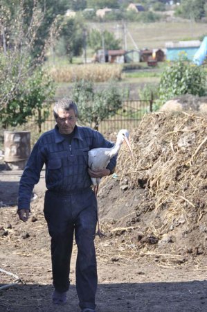 Раненого Жору приютили в СК «Электрометаллург»