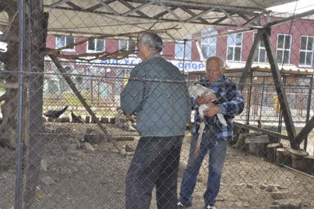 Раненого Жору приютили в СК «Электрометаллург»