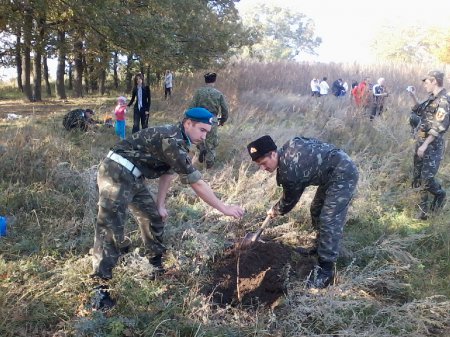 У День козацтва зелений гай від Війська Запорозького Низово