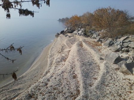 У День козацтва зелений гай від Війська Запорозького Низово