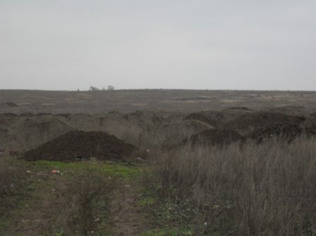 Подпольная добыча марганцевого сырья в Никопольском регионе загрязнила гектары земли. Нас ждет эпоха «копанок»?