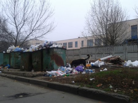 Никополь утопает в мусоре. Повторим вывоз мусора под здание горсовета