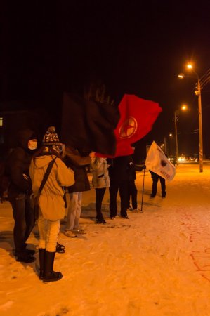 Никополь: "Нет тупым законам - Диктатуру ВОН!" (фото, видео)