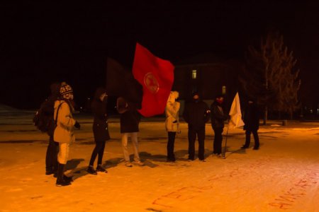 Никополь: "Нет тупым законам - Диктатуру ВОН!" (фото, видео)