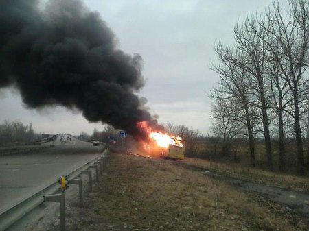 Подробнее о никопольских "Титушках" (фото, видео)