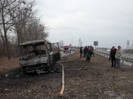 Подробнее о никопольских "Титушках" (фото, видео)